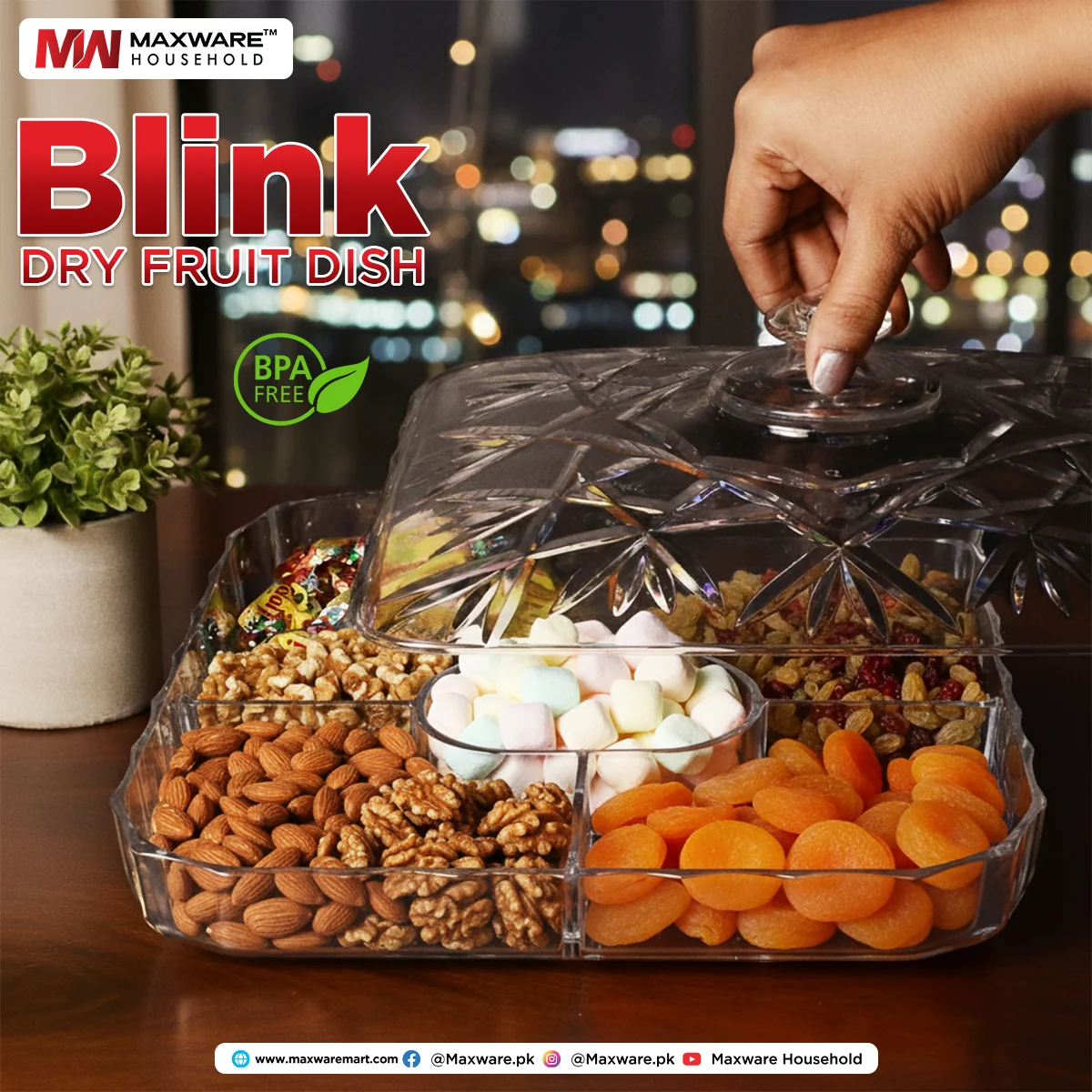 Blink Dry Fruit Dish - Image 2