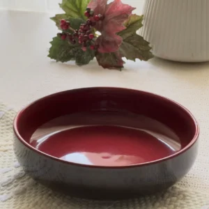 Crimson Ember Luxe Rice Bowl